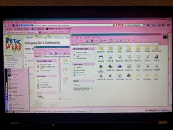 My Windows XP desktop